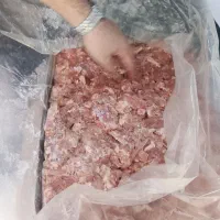 بچه فیله خورده مرغ برند یخچال منجمد