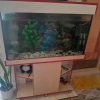 اکواریوم