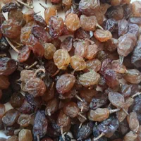 فروش انواع کشمش ، خریدار انواع کشمش|خوردنی و آشامیدنی|تاکستان, |دیوار