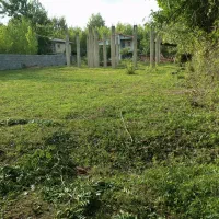 500متر زمین سند تک برگ با پروانه شاخت|فروش زمین و ملک کلنگی|شاندرمن, |دیوار