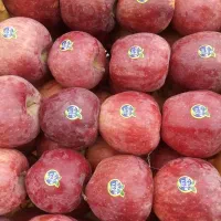 سیب مشگین شهر|خوردنی و آشامیدنی|مشگین شهر, |دیوار