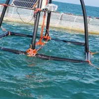 قفس پرورش ماهی دریای خزر|ماشینآلات صنعتی|تهران, حصار بوعلی|دیوار