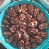 خرمای کباب فقط عمده