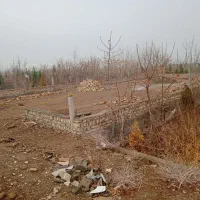 زمین|فروش دفتر صنعتی، کشاورزی، تجاری|قلعه نو, |دیوار