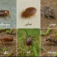 سم پاشی امید صددرصد تضمینی سمپاشی ساس و سوسک و ...|خدمات نظافت|تهران, تهرانپارس غربی|دیوار