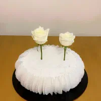 اجاره انواع ماکت کیک و انواع کیک های تولد