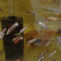 فایتر رد دراگون و اف سی سی پی