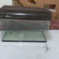 اکواریوم شرکتی با تجهیزات کامل