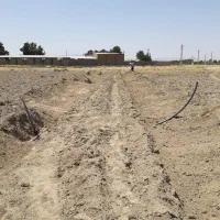 زمین-مناسب-باغ-و-باغچه-و-گلخانه