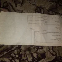 گم شده