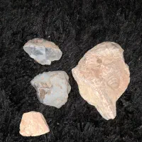 فسیل ،سنگ|کلکسیون اشیاء عتیقه|اندیشه, اندیشه فاز ۴|دیوار