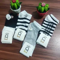 جوراب فانتزی عروسکی|لباس|قم, نیروگاه|دیوار