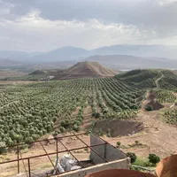 فروش ویلای ۱۰۰۰ متری با ۶۰ هکتار باغ زیتون|فروش زمین و ملک کلنگی|رودبار, |دیوار