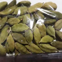 هل بسیار باکیفیت و درجه ۱
