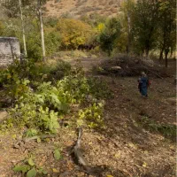 باغ ۹۱۲ متری در طالقان بالا داخل بافت امکان تهاتر