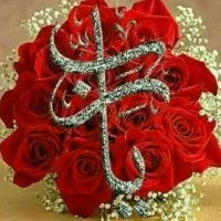 ساینا 97  .فنی مناسب مصرف کننده سفید