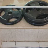صفحه هالتر فرمونی ومیله هالتر
