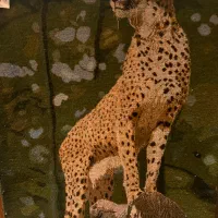 تابلو فرش دست بافت|تابلو فرش|تهران, زعفرانیه|دیوار