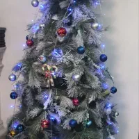 درخت کریسمس ارتفاع  دومتر بیست سانتیمتر