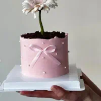 کیک گلدون روز مادر|خوردنی و آشامیدنی|اندیمشک, |دیوار