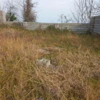 3000متری-رامسر-قابل-تفکیک