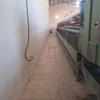 کارگر دولاتاب و لاکنی کار بلد