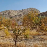 اجاره خانه باغ، روزانه، هفتگی|اجارهٔ کوتاهمدت ویلا و باغ|سیوان, |دیوار