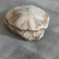 سنگ خاص قیمتی