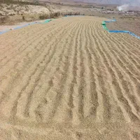 خوردن و آشامیدن