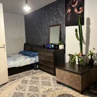 اجاره سوییت کوتاه مدت،روزانه،شبانه|اجارهٔ کوتاه‌مدت آپارتمان و سوئیت|تهران, شهید اسدی|دیوار