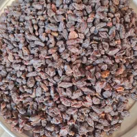 کشمش افتابی شیرین