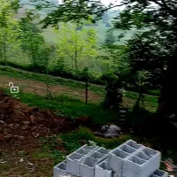 600 متر زمین ییلاقی نزدیک بافت|فروش زمین و ملک کلنگی|آلاشت, |دیوار