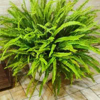 فروشنده تلفنی  و حضوری خانوم و آقا|استخدام بازاریابی و فروش|رشت, منظریه|دیوار