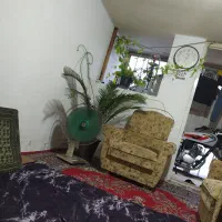 (همخونه)