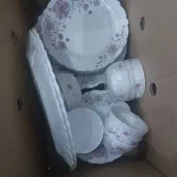 ارکوپال ۲ دست