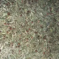 خارشتر‌‌(ینق)درجه‌یک‌‌پردانه‌عالی‌برای‌دام