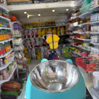 پت شاپ موکاپت