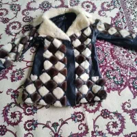 دوتا پالتو پوست