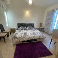 دامون ویلایی