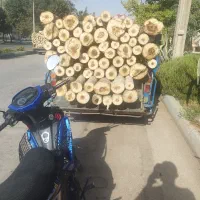 خریدارچوب گردو بید.صنوبر.وکاج.زردالو