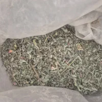 چای کوهی اویشن  پونه