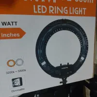 رینگ لایت