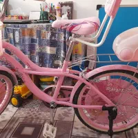 دوچرخه ۲۰ پرنسس