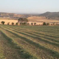 یونجه چن سوم و چهارم