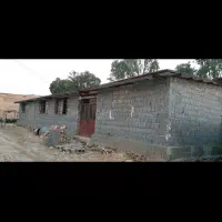 اجاره-گاوداری