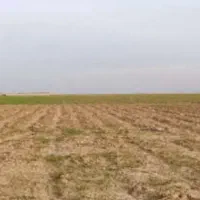 زمین-کشاورری
