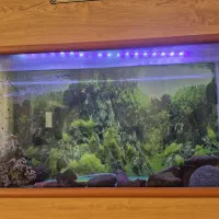 آکواریوم بزرگ