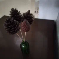 درست کاج برای تزیین دکوری