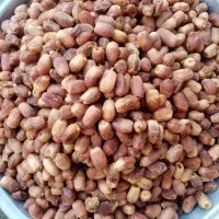 خرما|خوردنی و آشامیدنی|سنندج, |دیوار