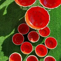 یلدای ها برای شب یلدا|ظروف سرو و پذیرایی|رشت, هلال احمر|دیوار